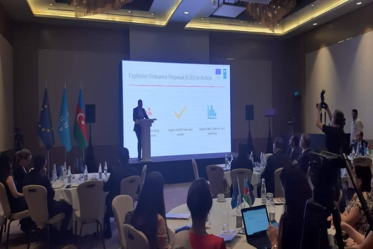 Посол: ЕС поддерживает усилия Азербайджана по разминированию