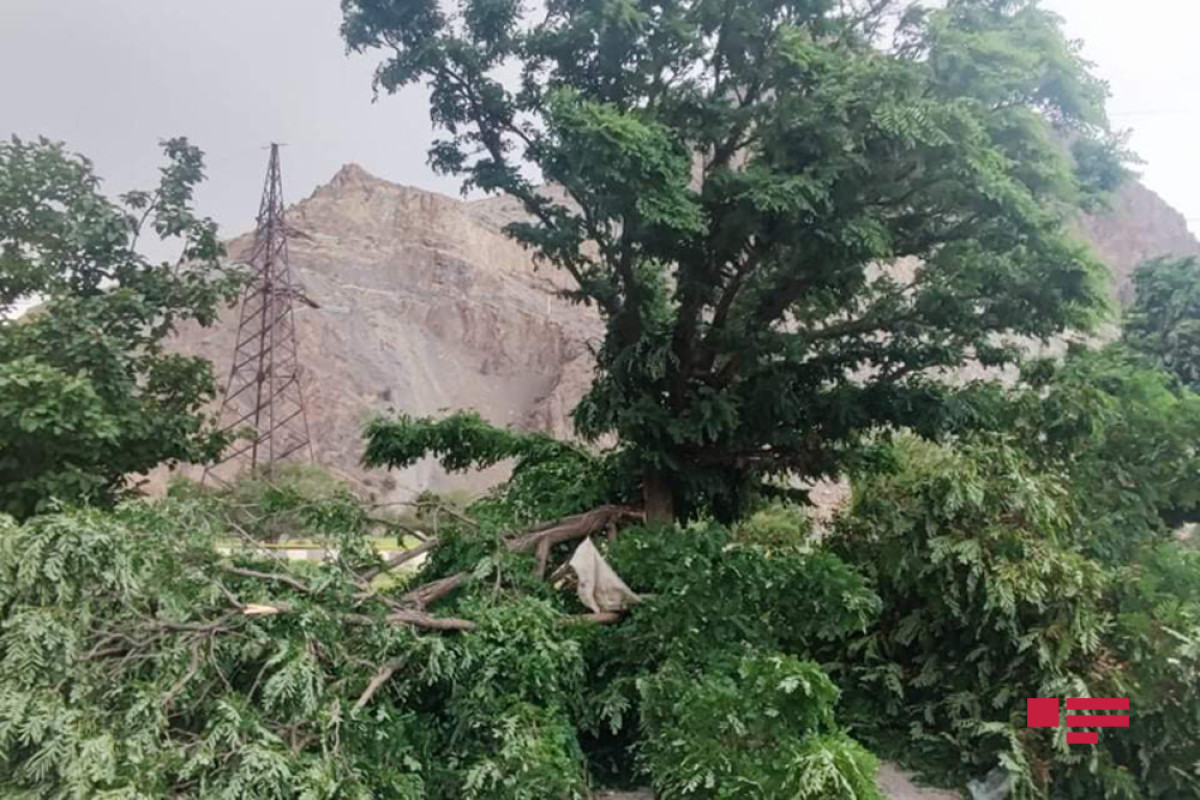 Ураган нанес серьезный ущерб Ордубаду-ФОТО -ВИДЕО 