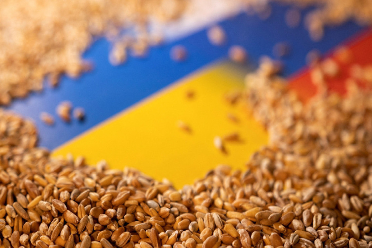 WSJ: США обсуждают снятие санкций с Беларуси для вывоза зерна с Украины