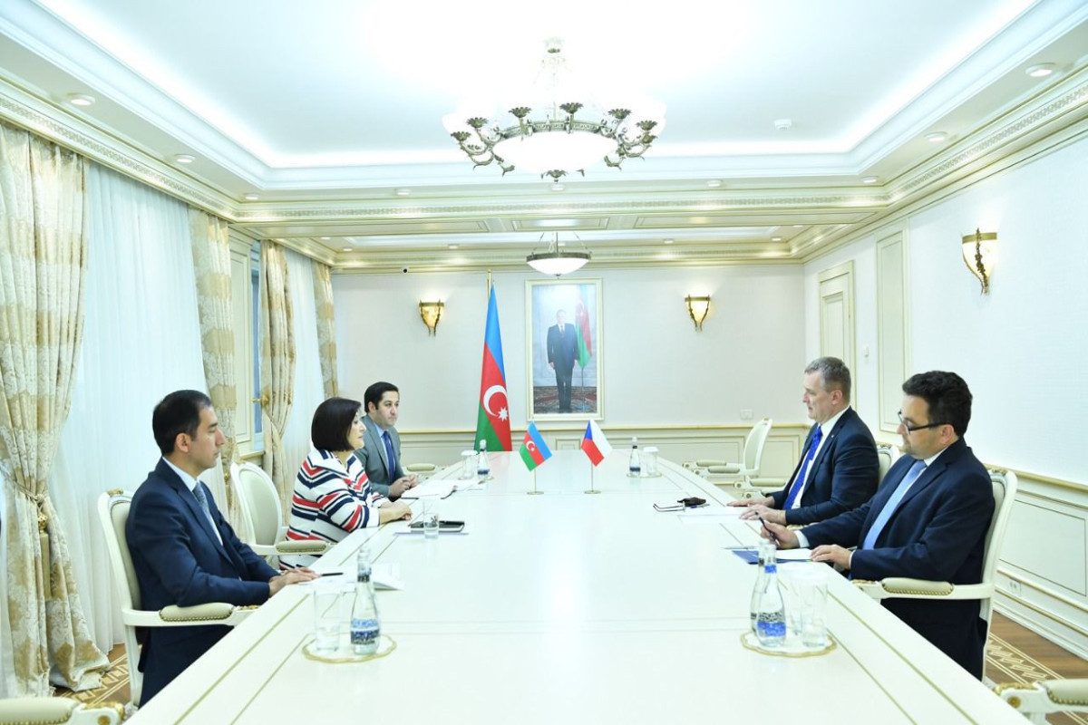 Chair of Milli Majlis meets Ambassador of Czech Republic to Azerbaijan