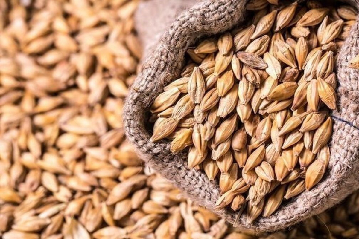 APEGEA: Barley illegally exported from Azerbaijan