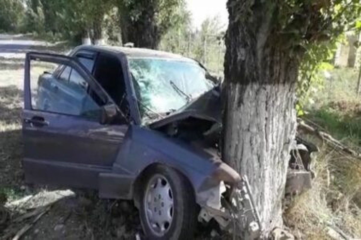 Şəkidə avtomobilin ağaca çırpılması nəticəsində ölən və yaralanan var  - YENİLƏNİB 