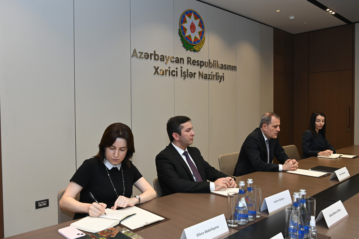 Azerbaijani FM meets with UN GA President-VIDEO -UPDATED 