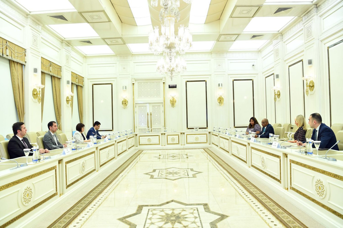 Sahibə Qafarovanın BMT Baş Assambleyasının  prezidenti ilə görüşü