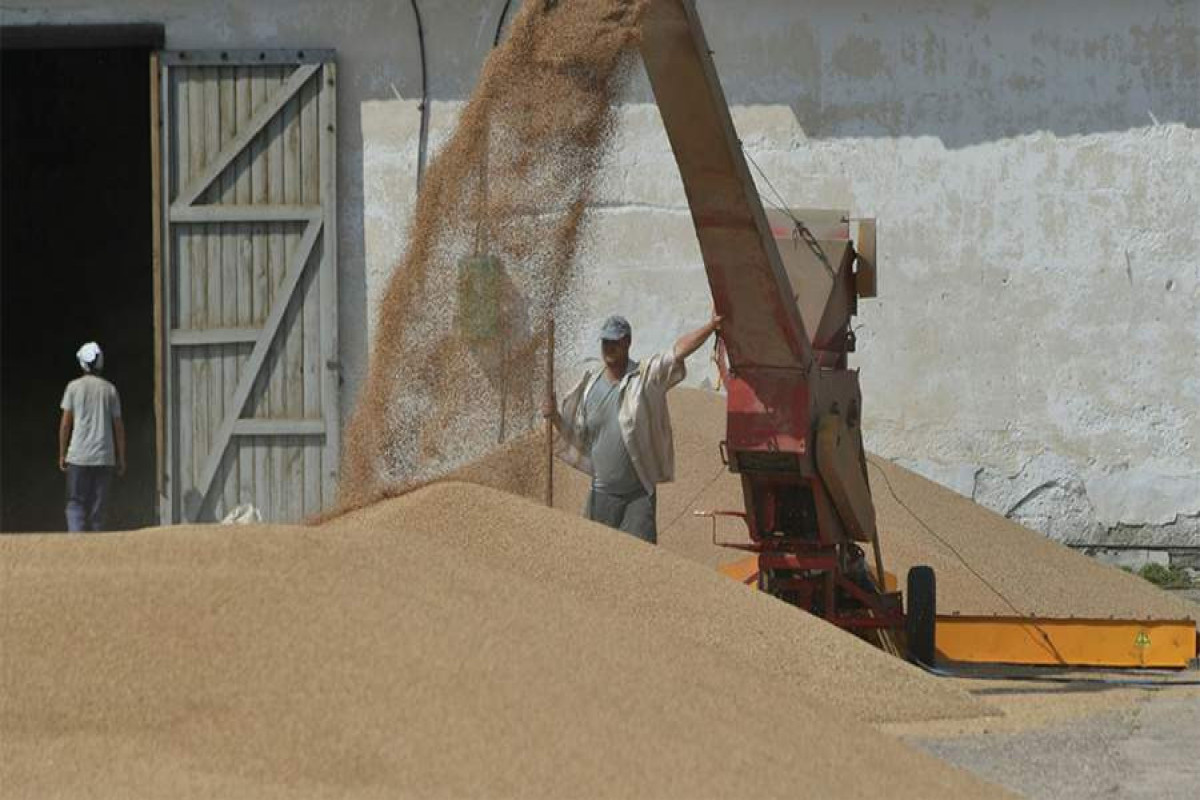 США обсуждают с партнерами вывоз зерна с Украины