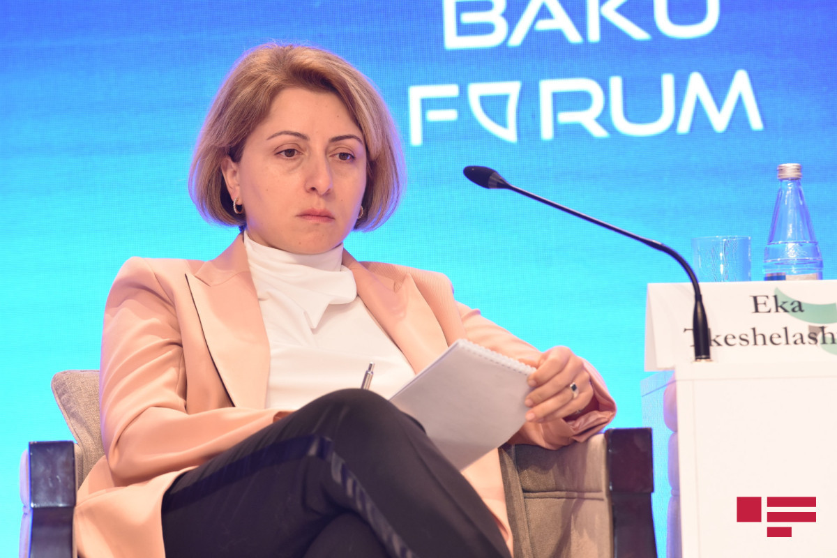 Panel discussion on Ukraine held in Baku Global Forum