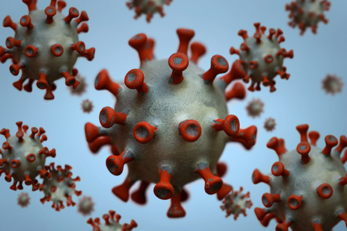 Американский исследователь: Есть вероятность, что новый тип коронавируса был разработан в лабораториях в США