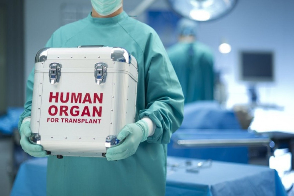Названа дата открытия Центра по трансплантации органов