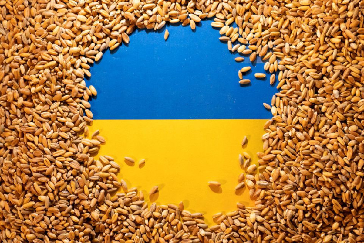 EU seeks to release Ukrainian grain stuck due to Russia