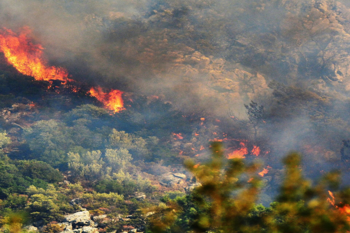В тушении лесных пожаров в Турции задействованы 20 вертолетов, 14 самолетов-ОБНОВЛЕНО-1 