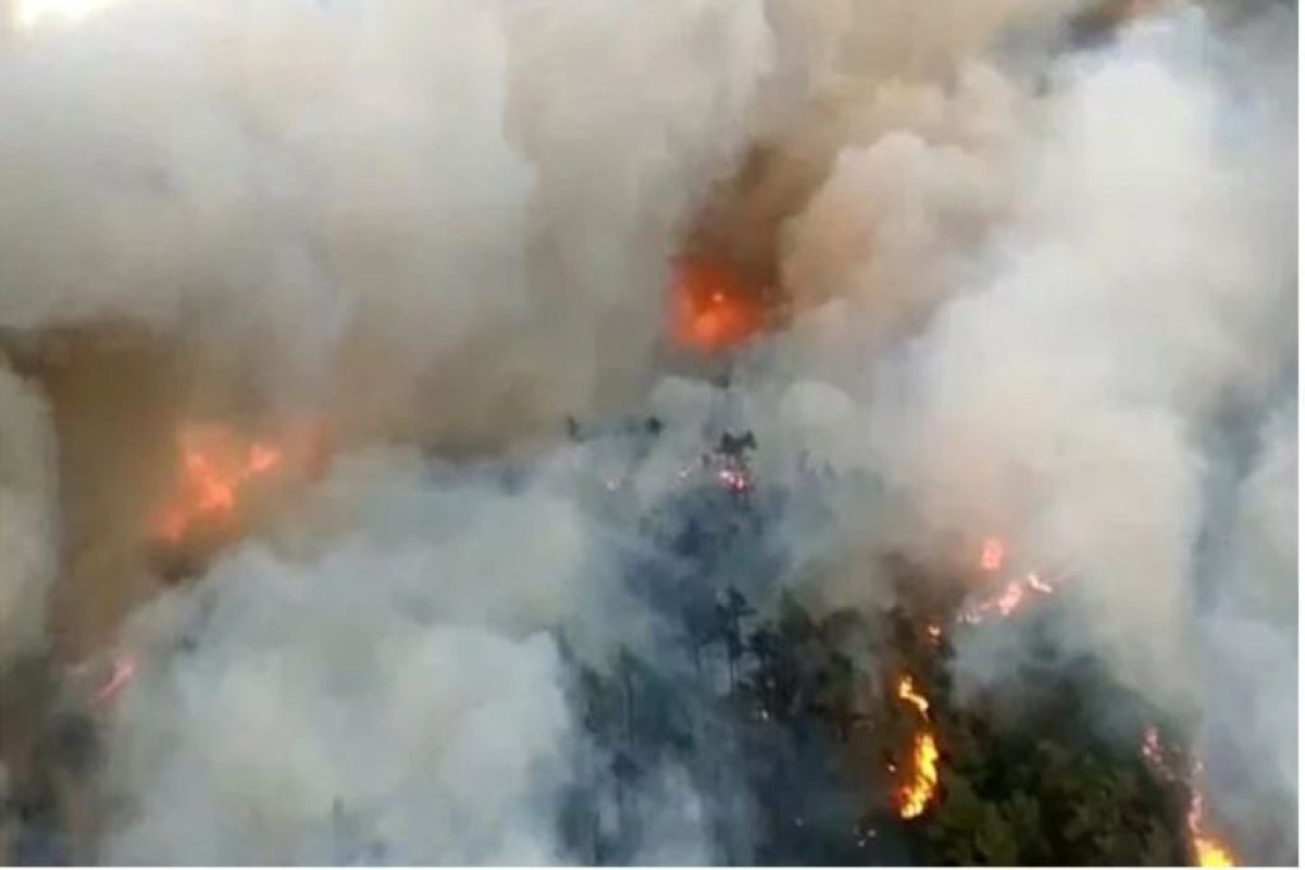 Forest fire taken under control in Turkiye