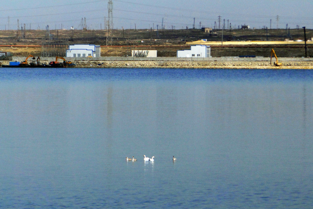 AMEA: Abşeron yarmadasında 112 göl var
