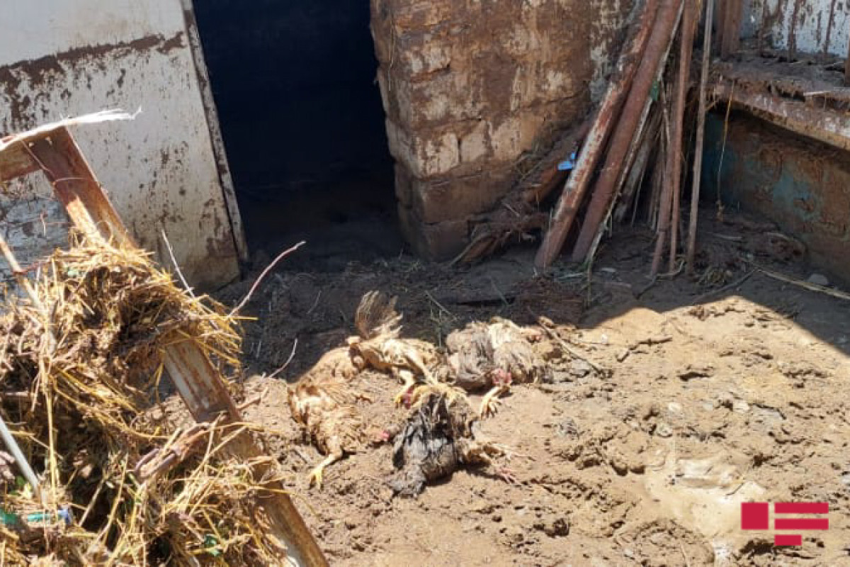 МЧС: В Геранбойском районе устраняются последствия селя -ФОТО 