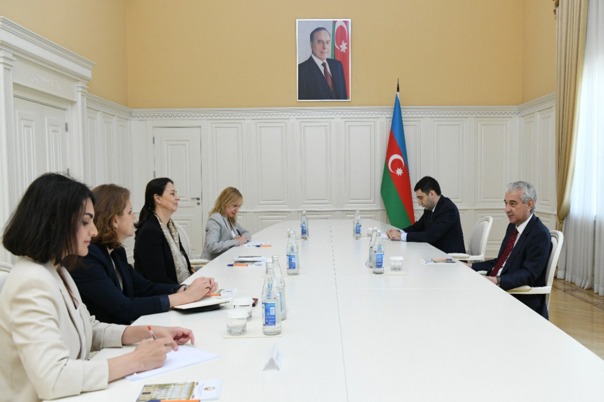 Deputy PM meets new head of ICRC office in Azerbaijan