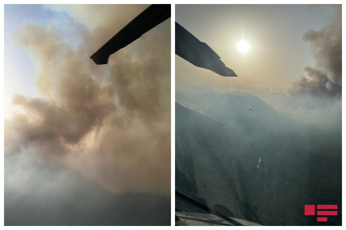 Лесные пожары в Турции: Новые кадры -ВИДЕО 