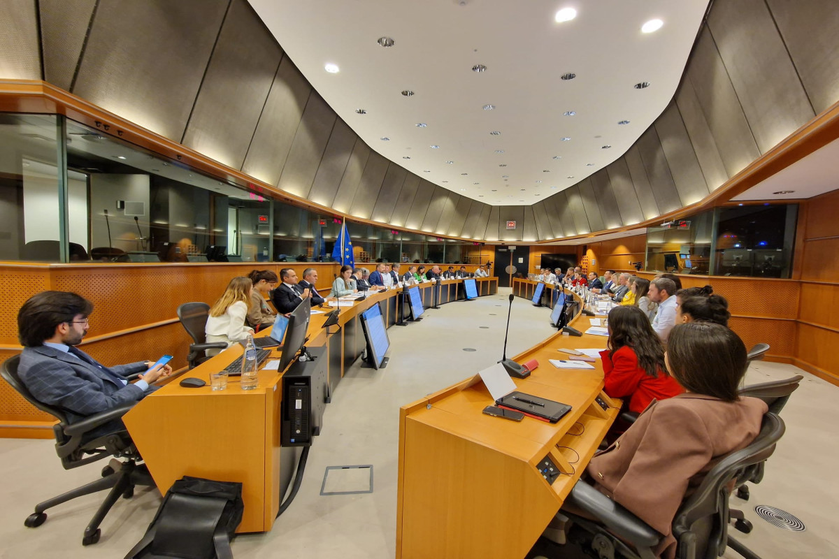 Meetings on mine problem in Azerbaijan held in Europe