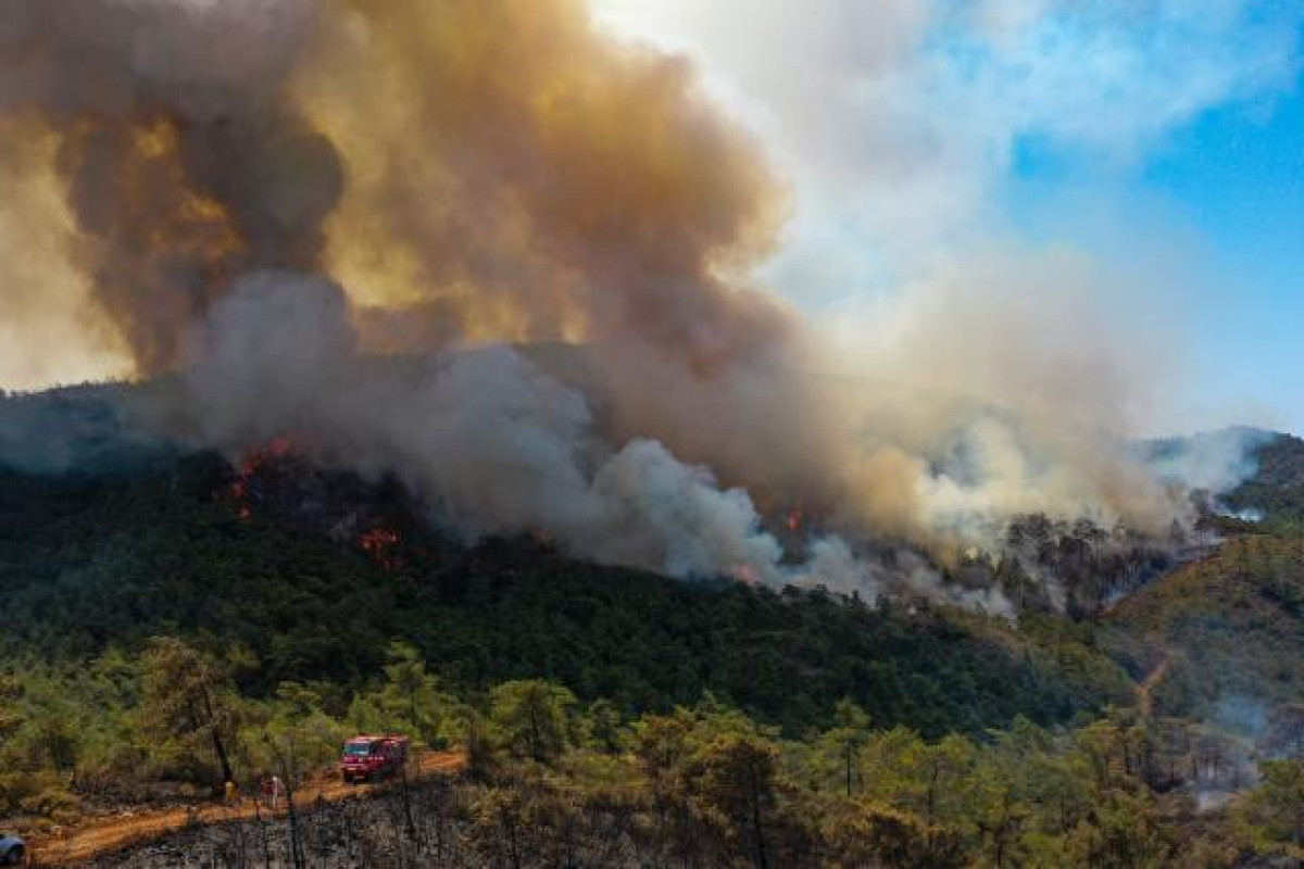 Forest fire continuing for 5 days in Turkiye taken under control