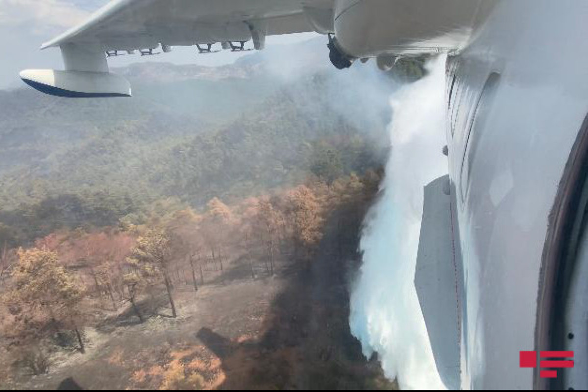 Азербайджанский самолет-амфибия продолжает борьбу с пожаром в Турции