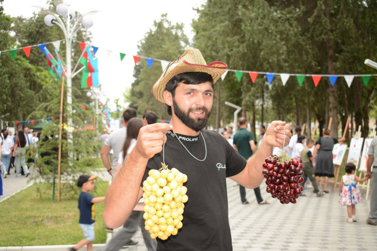 "Sour Cherry and Cherry" festival held for the first time in Azerbaijan-<span class="red_color">PHOTO