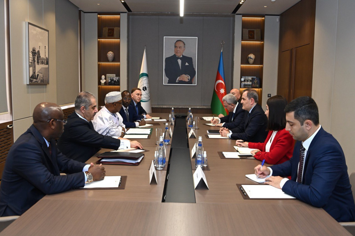 Azerbaijani FM meets with OIC Secretary-General