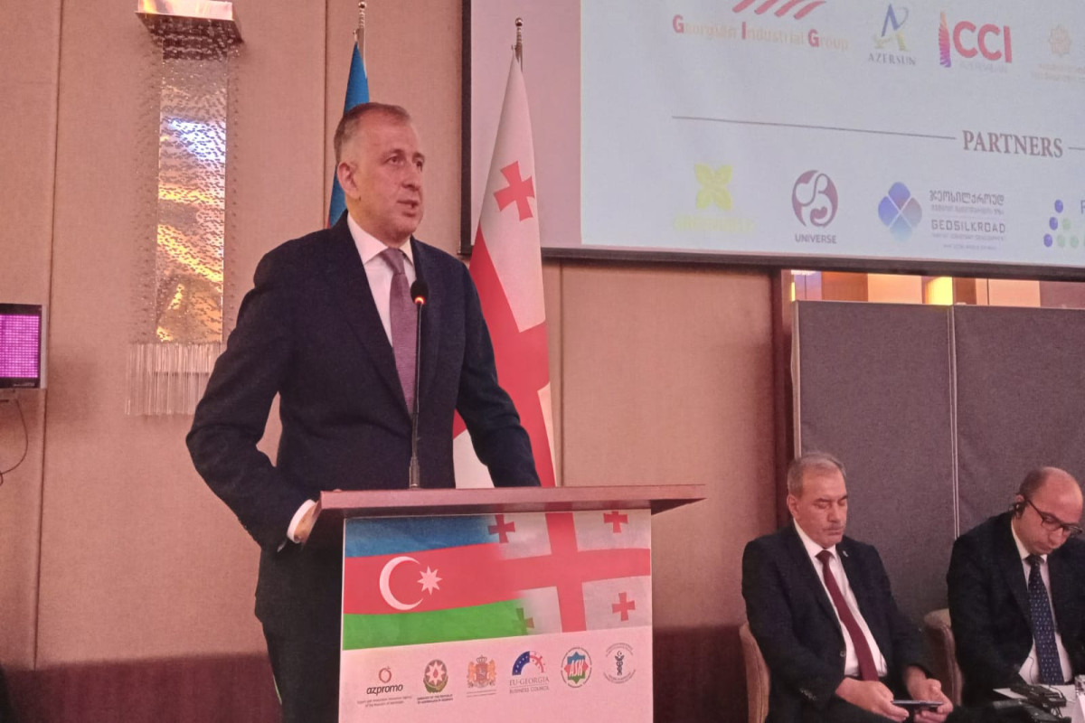 Посол: Будет проведено заседание азербайджано-грузинской межправкомиссии