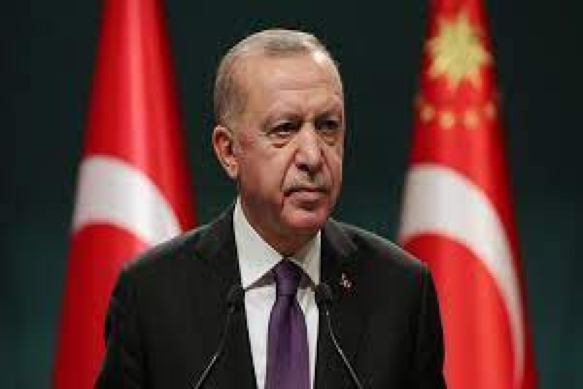 Ərdoğan Türkiyənin Ukraynanın ərazi bütövlüyünü dəstəklədiyini bildirib