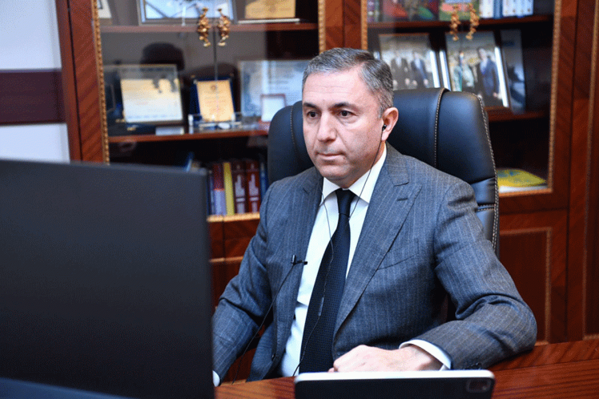 Tahir Mirkişili, Milli Məclisin İqtisadi siyasət, sənaye və sahibkarlıq komitəsinin sədri