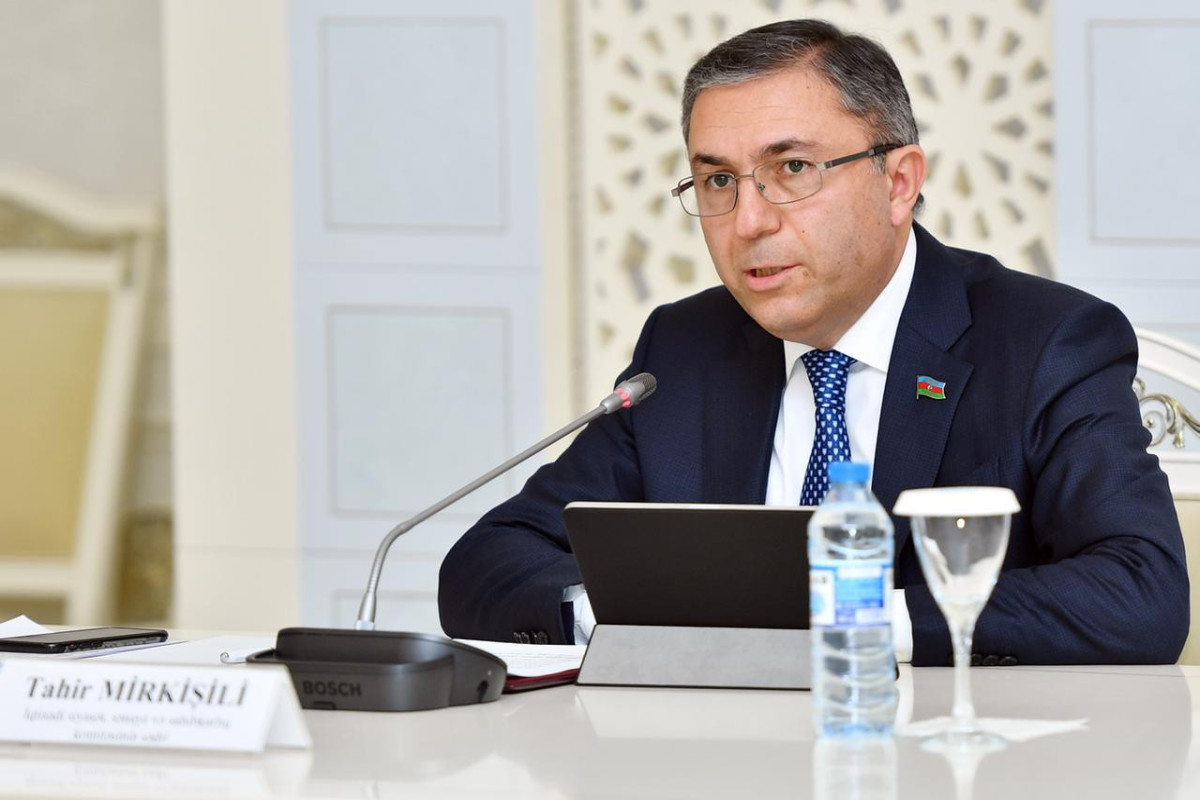 Tahir Mirkişili, Milli Məclisin İqtisadi siyasət, sənaye və sahibkarlıq komitəsinin sədri