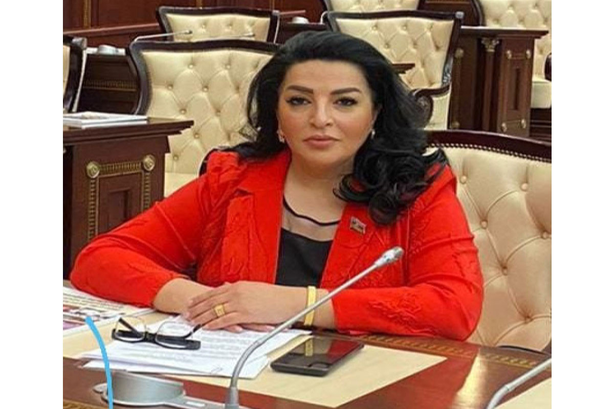 Fatma Yıldırım, Milli Məclisin deputatı