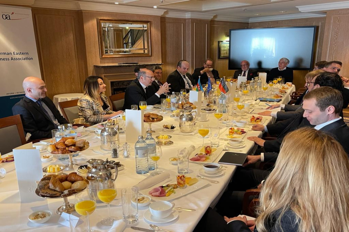 Nazir: "Azərbaycanın "yaşıl enerji" dəhlizinin mənbəyi olmaq perspektivi böyükdür"