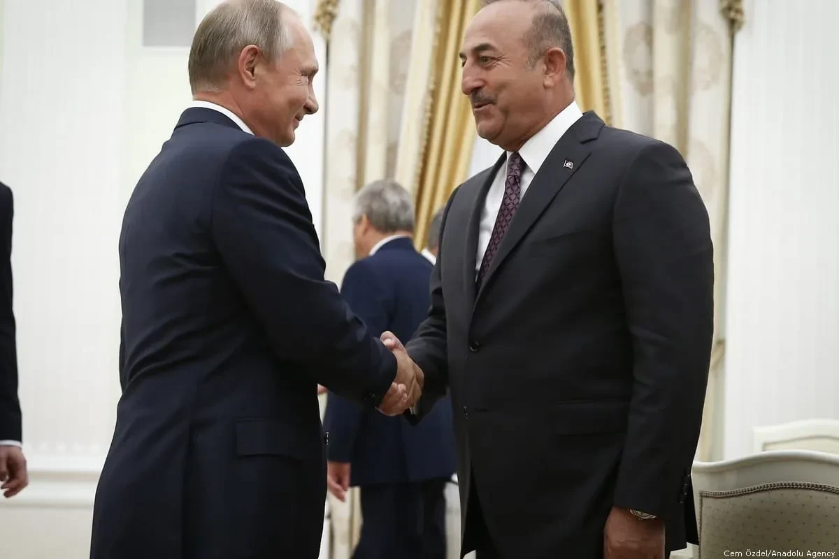 Putin, Çavuşoğlu