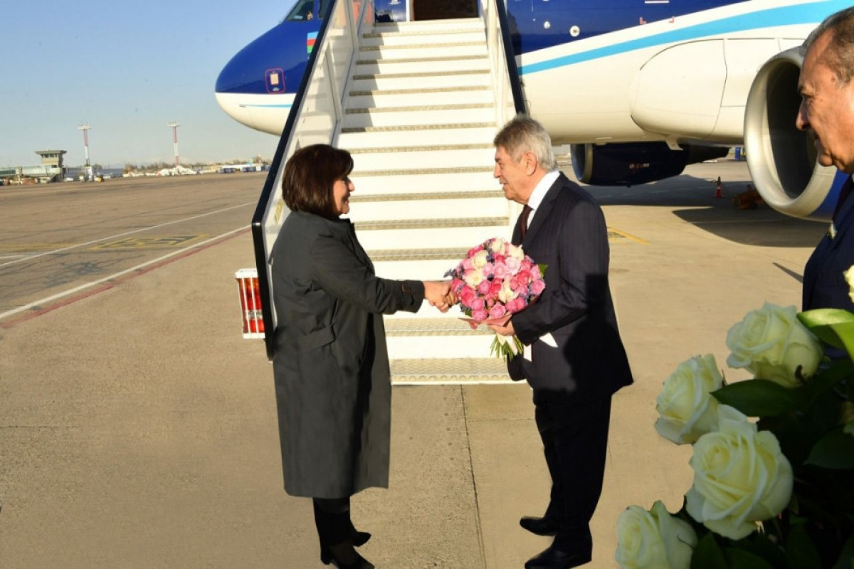 Начался официальный визит делегации Милли Меджлиса в Узбекистан