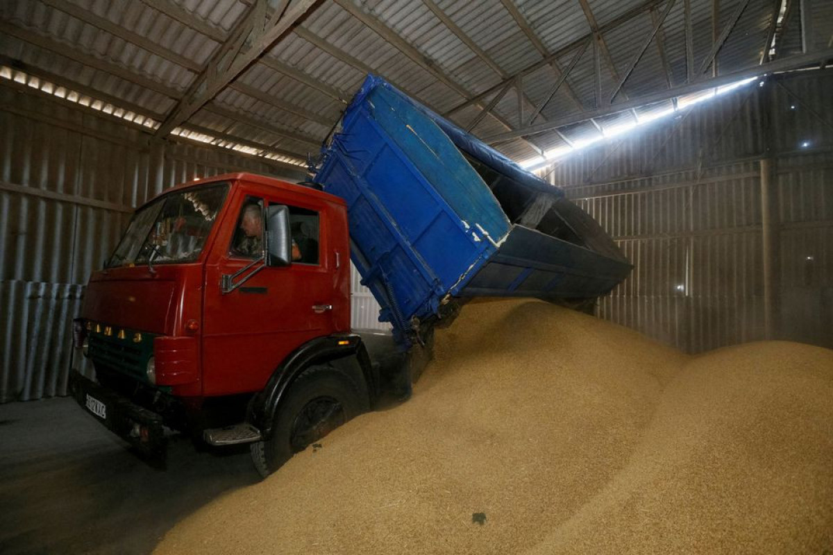 Ukraine may lose tens of millions of tonnes of grain - Zelenskiy