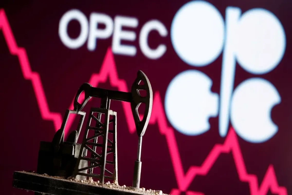 OPEC+ sees bigger 2022 surplus amid slower demand growth