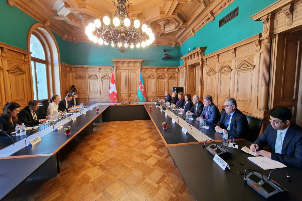 Ирен Келин: Швейцария готова оказать поддержку мирным переговорам между Азербайджаном и Арменией