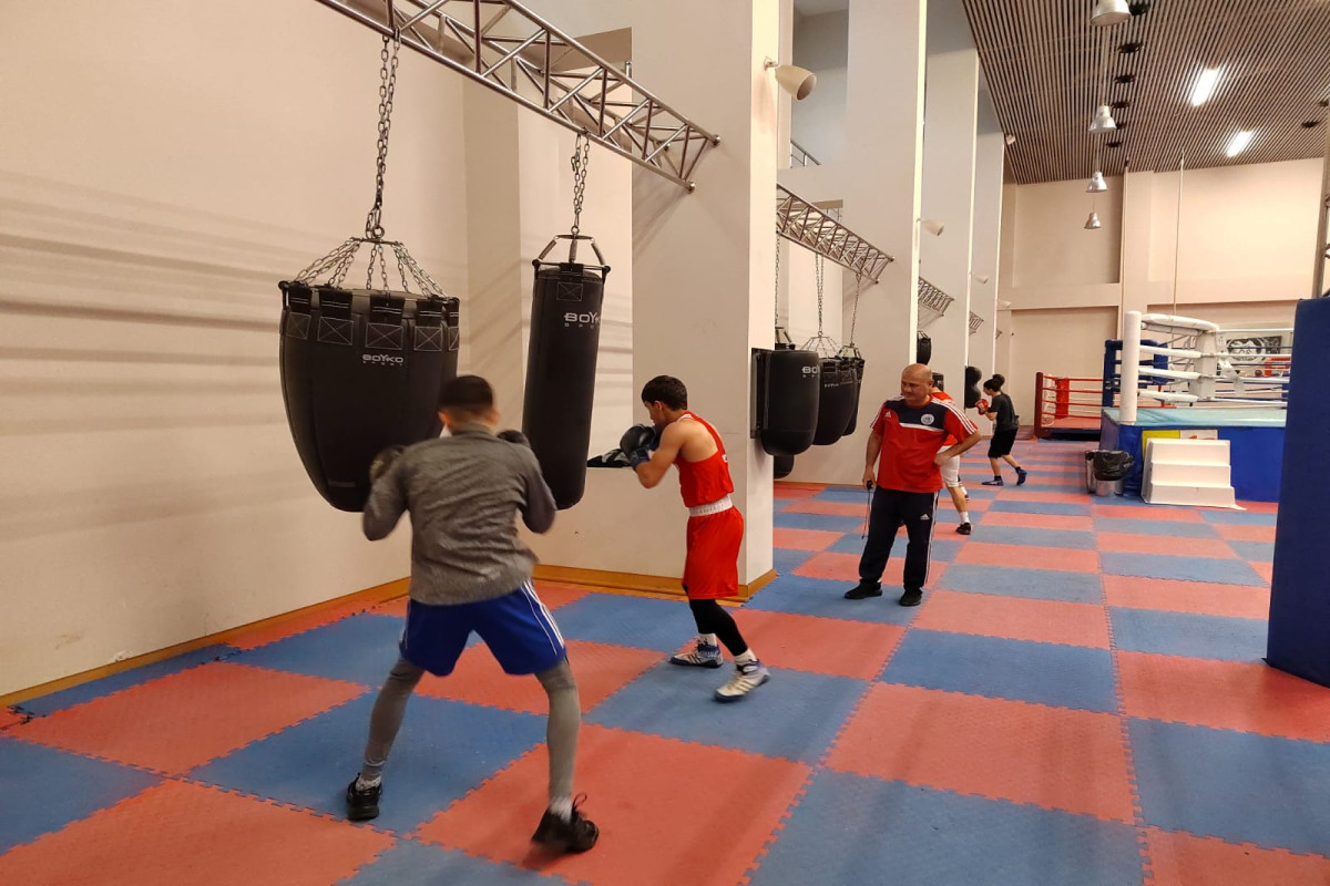 Azərbaycan boksçuları Avropa birinciliyinin hazırlığına başlayıb