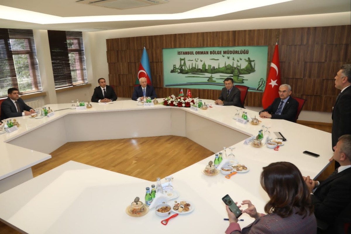 Замминистра Этибар Мирзоев находится с визитом в Турции