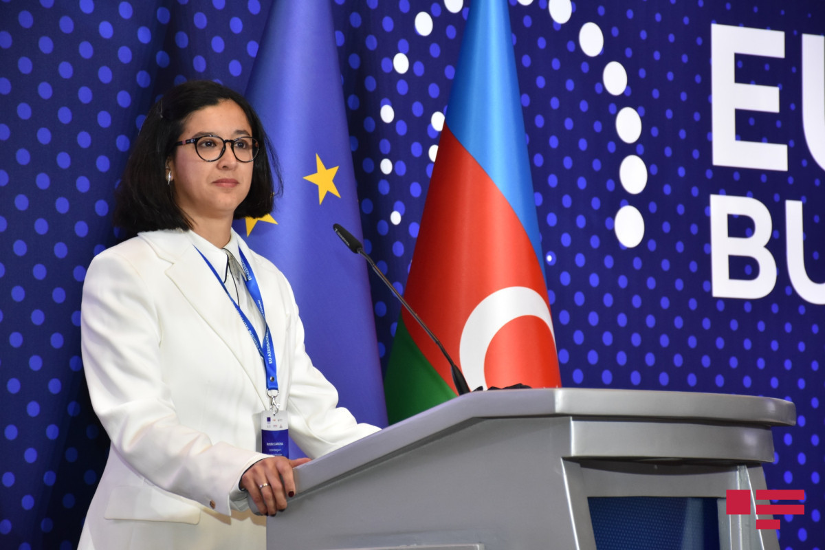 Document of "EU-Azerbaijan Business Environment Report 2021" presented