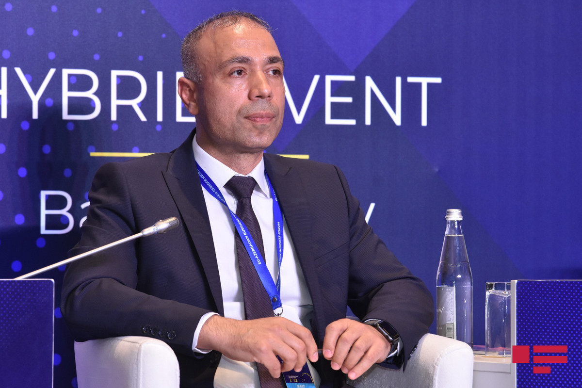 Elnur Soltanov, Azerbaijan's Deputy Minister of Energy