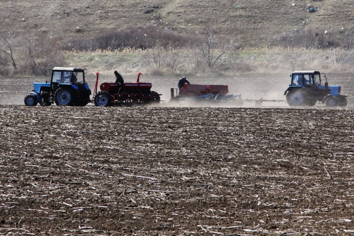 CNN: США и Европа прорабатывают маршруты поставок украинской пшеницы