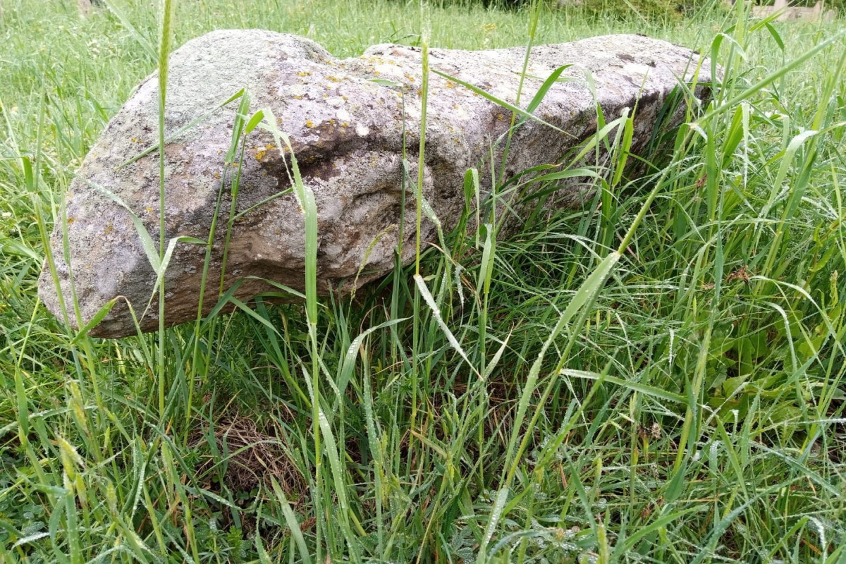 Stone bull figure found for the first time in Azerbaijan-PHOTO 