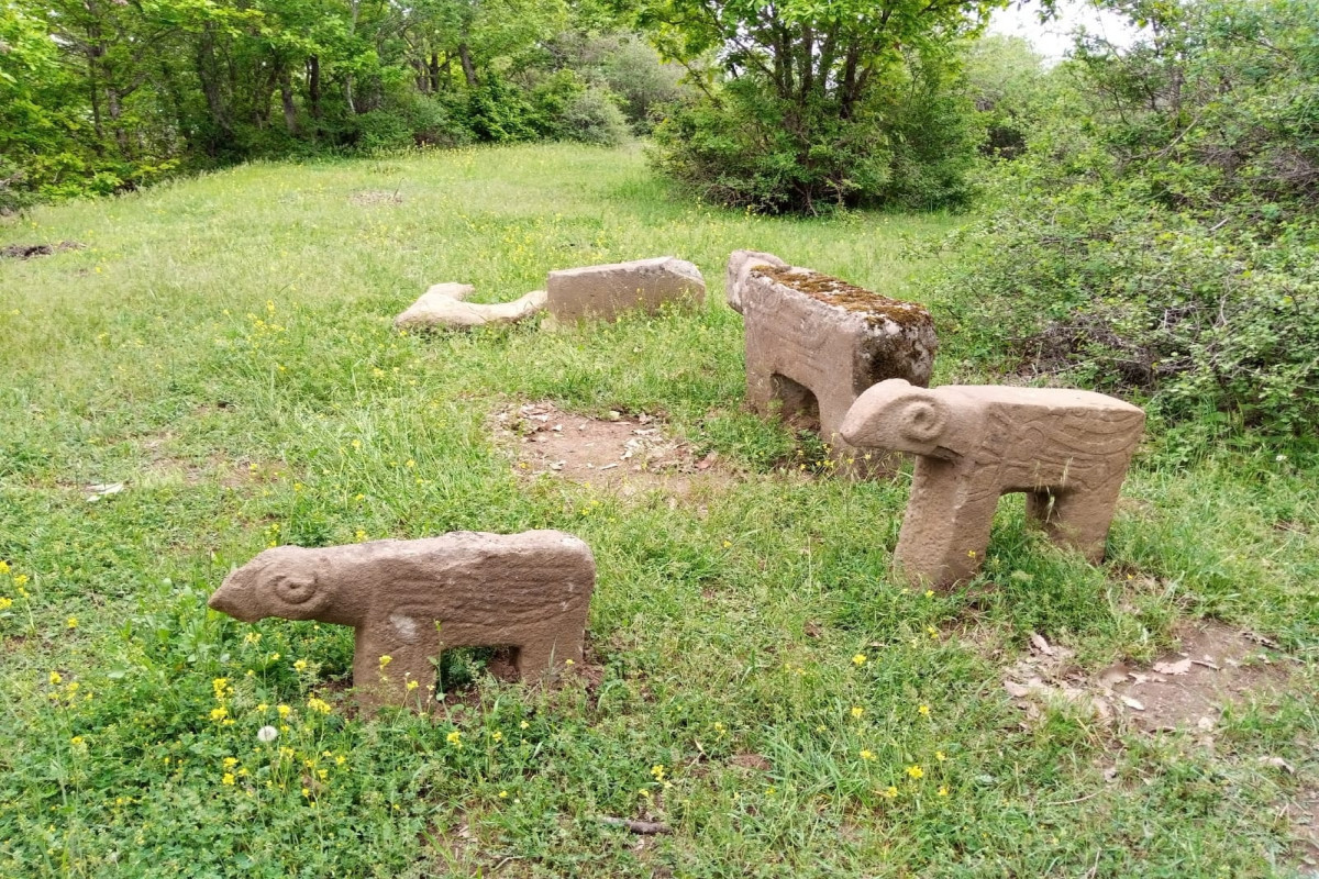 Stone bull figure found for the first time in Azerbaijan-<span class="red_color">PHOTO