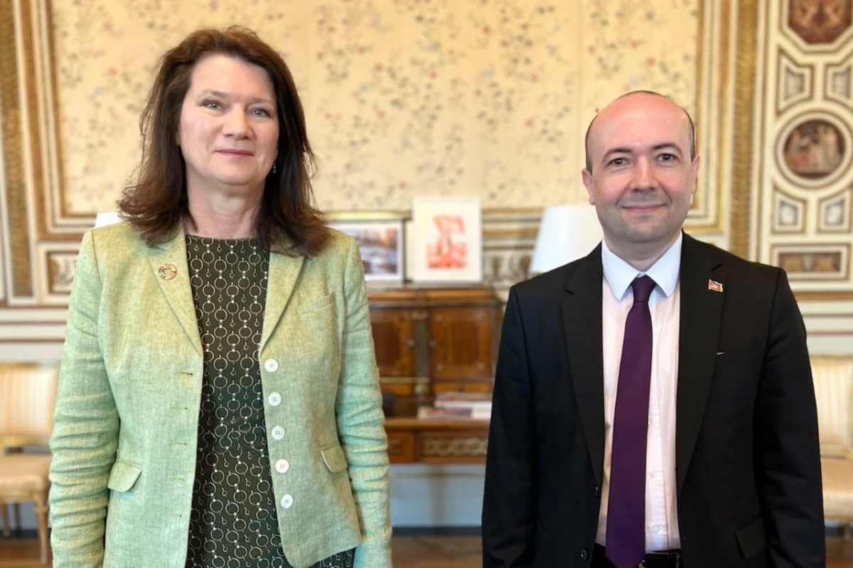 Министр иностранных дел Швеции Анн Линде приняла заместителя министра иностранных дел Азербайджана Фариза Рзаева