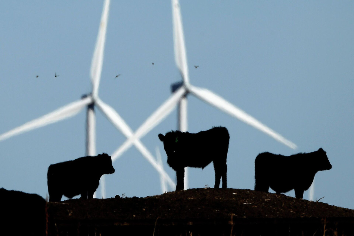 Дания, Бельгия, ФРГ и Нидерланды подписали соглашение по ветряной энергии