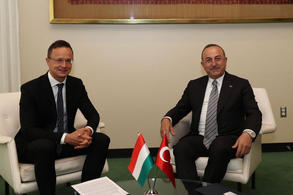 Чавушоглу обсудил с венгерским коллегой расширение НАТО