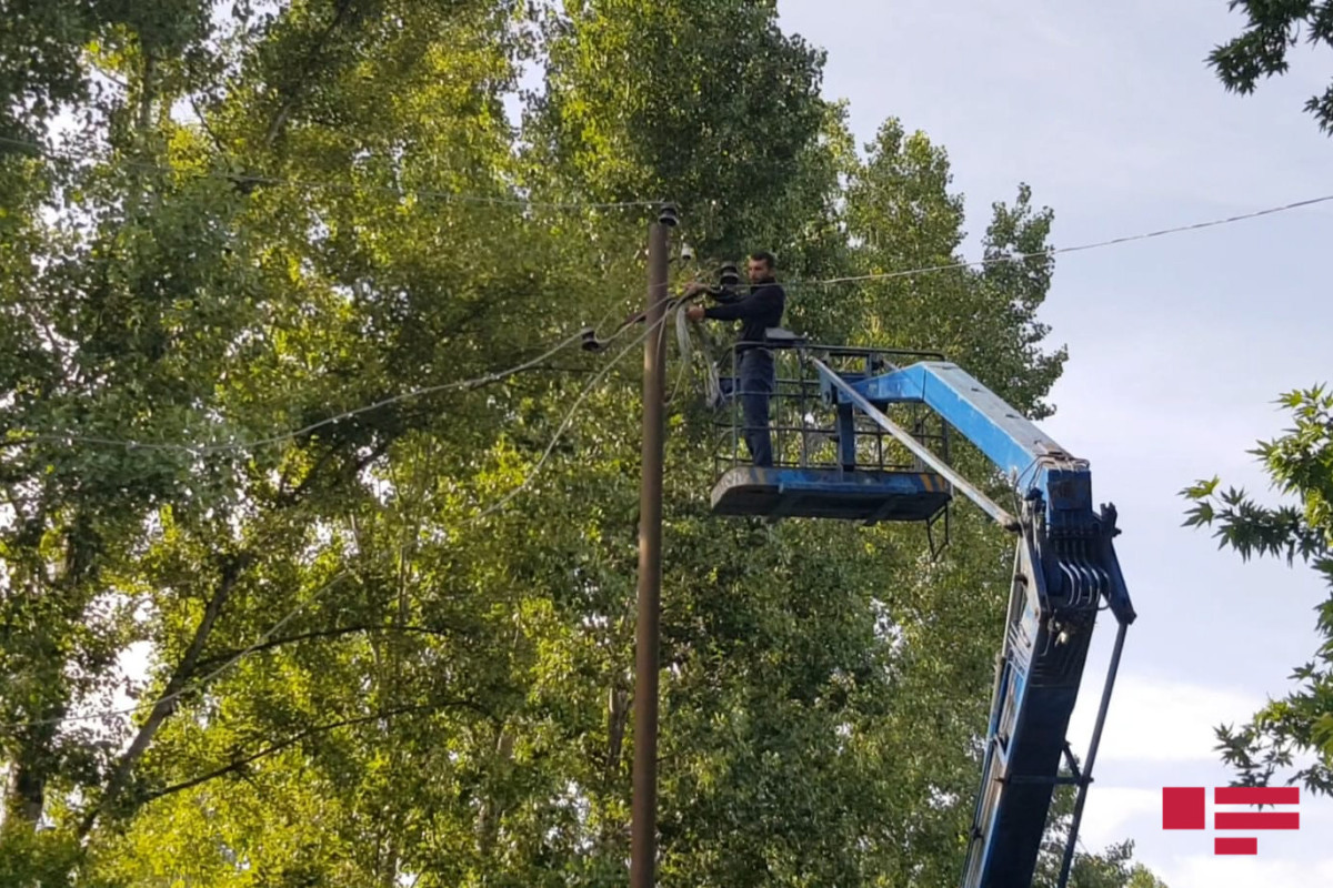 Göyçayda güclü külək ağacları aşırıb, elektrik xətlərini qırıb - FOTO  - VİDEO 