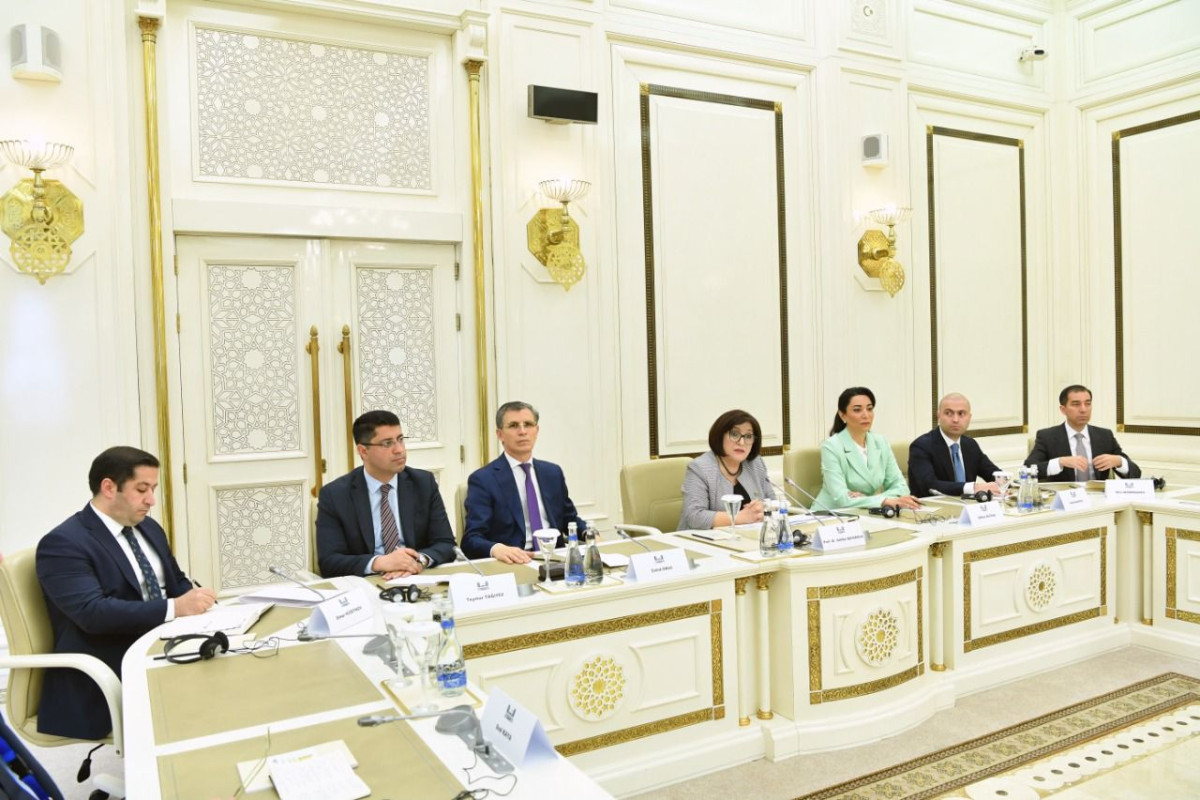 Встреча председателя Милли Меджлиса Сахибы Гафаровой с участниками конференции «Защита прав человека в государствах-участниках ТюркПА»