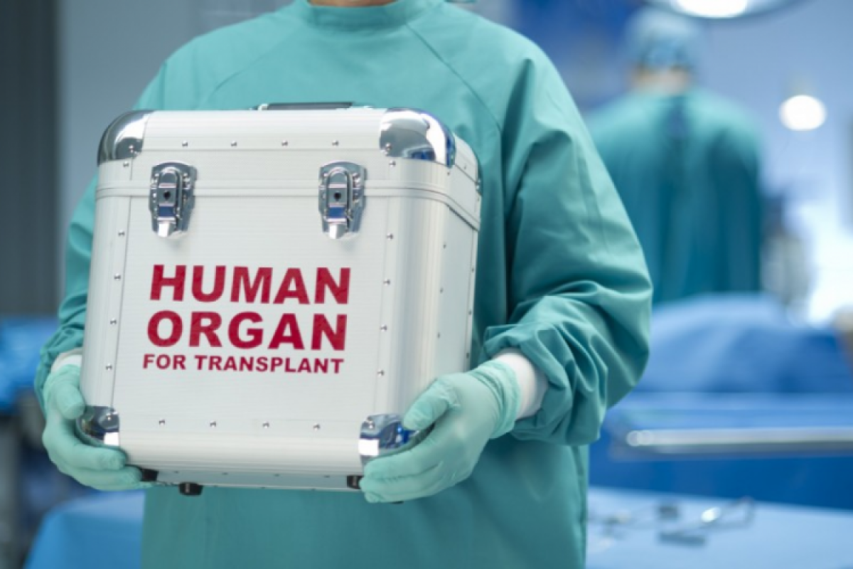 Orqan transplantasiyası olanlara əlillik təyin ediləcək