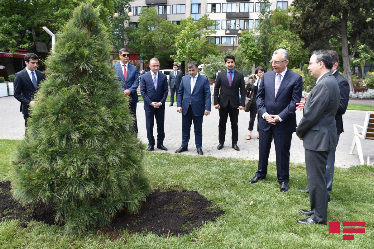 Trees planted on the occasion of the 30th anniversary of Pakistani-Azerbaijani diplomatic relations-PHOTO 