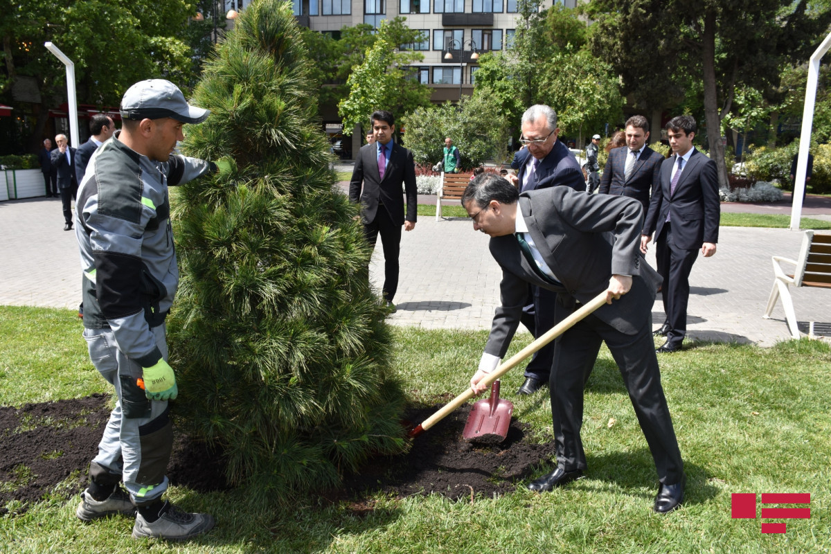 Trees planted on the occasion of the 30th anniversary of Pakistani-Azerbaijani diplomatic relations-PHOTO 